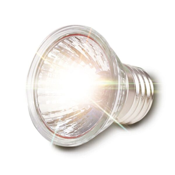Lâmpada uv para répteis uva + uvb 3.0, lâmpadas de aquecimento e controlador de temperatura para tartaruga, largos, 25/50/75w - Image 4